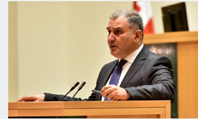 სარჯველაძე ბიძინა ივანიშვილის დასაცავ შესაძლო აქციას შეუერთდება