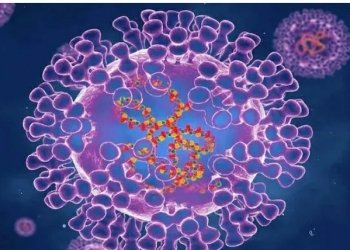 ადამიანიდან ადამიანს შესაძლოა სქესობრივი კავშირის გზით გადაეცეს