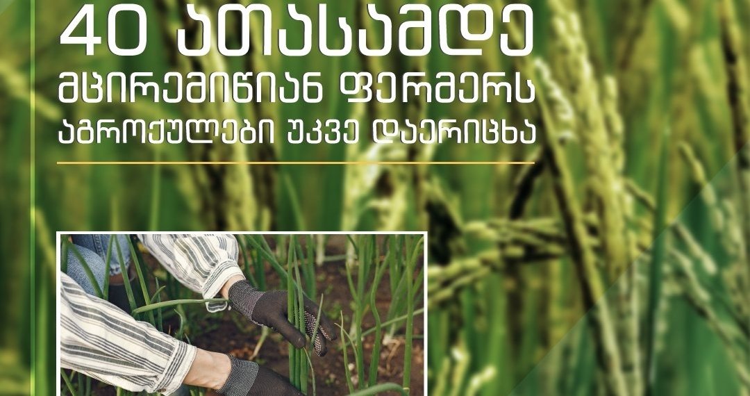 მცირემიწიანი ფერმერებისთვის აგროქულების დარიცხვა დაიწყო-ვინ მიიღებს სუბსიდიას