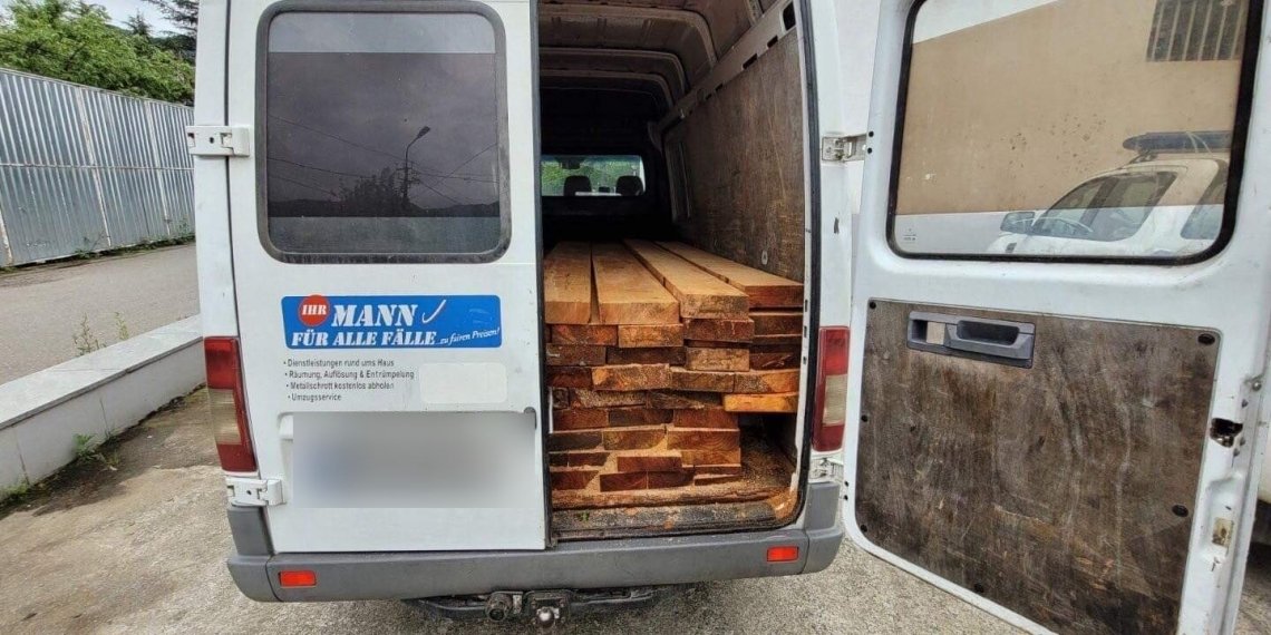 ხე-ტყის უკანონო ტრანსპორტირებისა და ჭრა-ტრანსპორტირების 18 ფაქტი გამოავლინეს