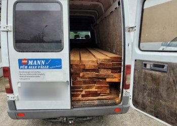 ხე-ტყის უკანონო ტრანსპორტირებისა და ჭრა-ტრანსპორტირების 18 ფაქტი გამოავლინეს