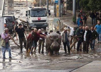 13 ივნისია ! რატომ არ წვიმს ?! მაშინ რატომ წვიმდა ასე საშინლად – ირაკლი ღლონტი