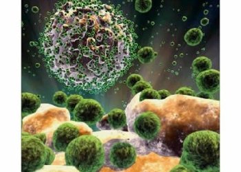 შავი ჭირის წარმომავლობა  გარკვეულია