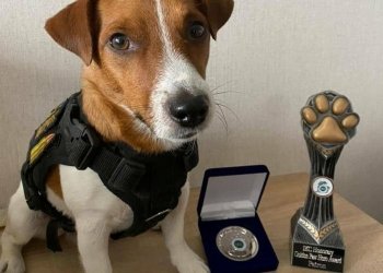 შენ გაიხარე, პატარა, ჭკვიანო ცუგავ! ოდესმე ძეგლს დაგიდგამენ! -თინათინ მღვდლიაშვილი