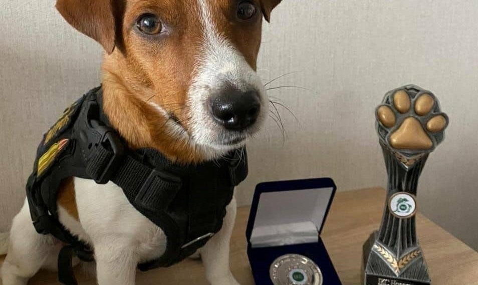 შენ გაიხარე, პატარა, ჭკვიანო ცუგავ! ოდესმე ძეგლს დაგიდგამენ! -თინათინ მღვდლიაშვილი