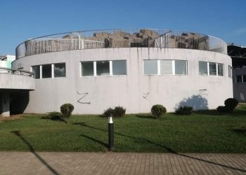 რუსეთის ფაშიზმის სიმბოლო Z ბათუმის დელფინარიუმზეც გამოჩნდა