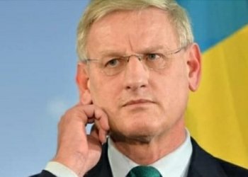 საქართველო არ არის მზად ახალი ნაბიჯისთვის-კარლ ბილდტი