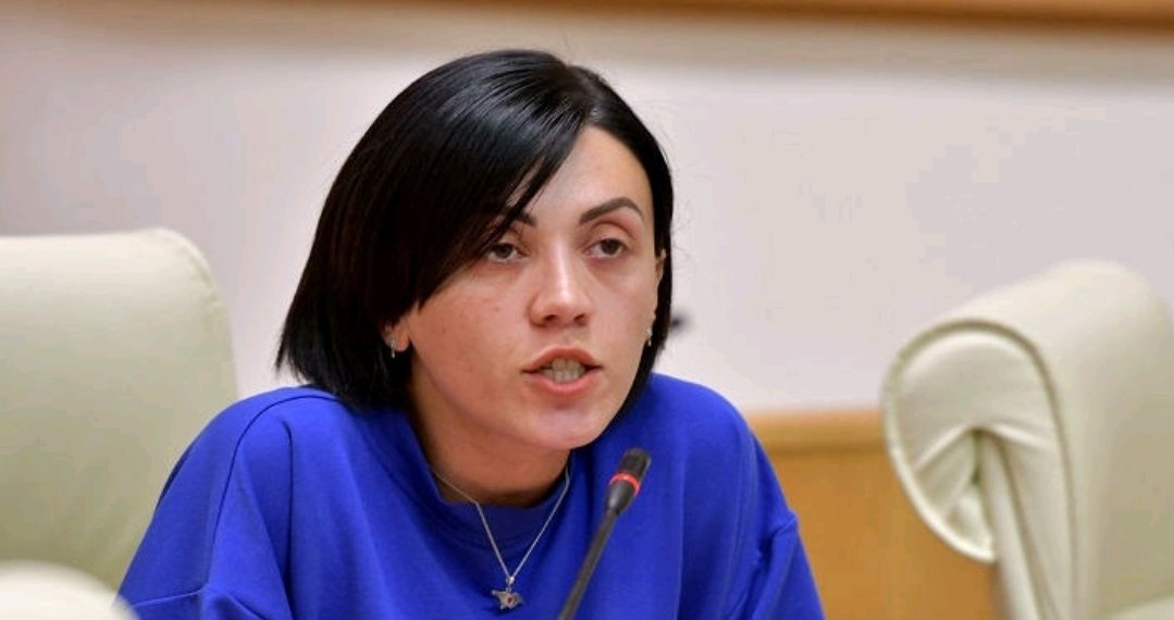 დარჩით ბიძინა ივანიშვილის საქაღალდეების დამტარებელ პატარა ბიჭად – ანი წითლიძე პრემიერს