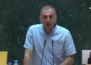 ჩვენი წინაპრების ნაოცნებარს ვყრით წყალში-ალეკო ელისაშვილი
