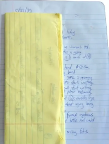 დეპი-ჰარდის სასამართლო პროცესზე წარდგენილი ნივთმტკიცებულებები eBay-ზე იყიდება