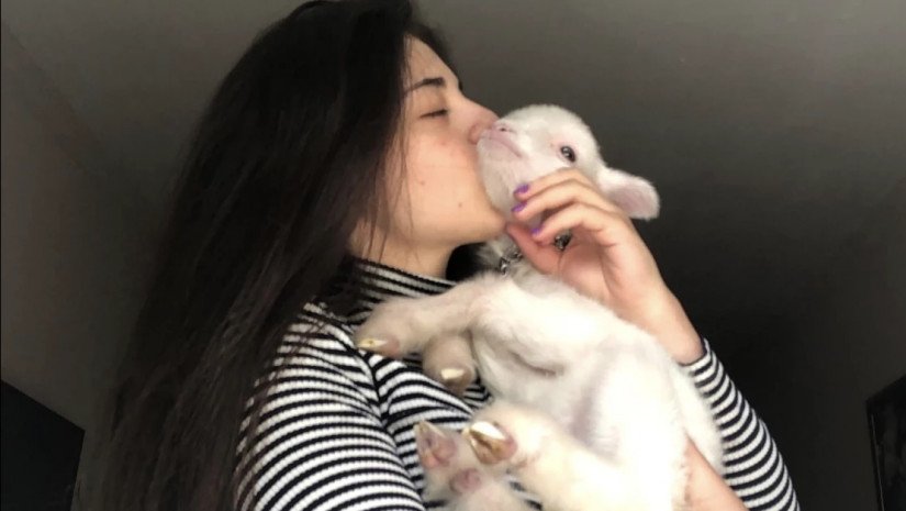 ღმერთი არასდროს გვთხოვს მისი შექმნილი არსების მოკვლას და დამიჯერეთ, მათი კვლით მხოლოდ ცოდვებს იმატებთ – ტასო ლოსაბერიძე