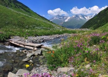 რა დაგიჯდებათ წელს მთაში დასვენება