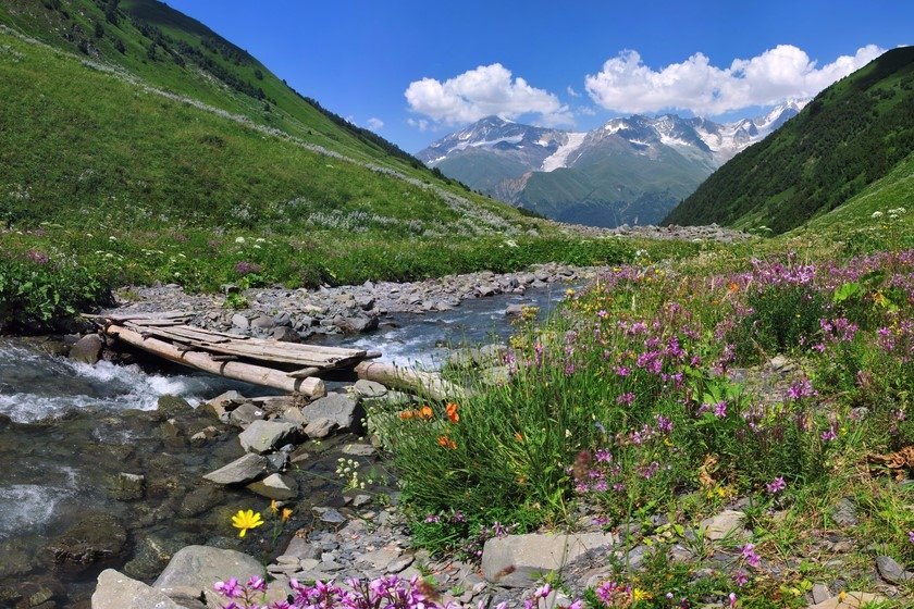 რა დაგიჯდებათ წელს მთაში დასვენება