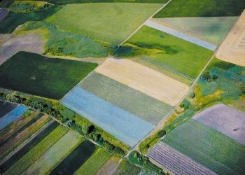 A photo of fields taken by a drone in Kyiv Oblast. Ukrainian startup Agrieye uses such drones to amass various data. It creates a precise map, describing the chemical composition of the soil and its vegetation state. Then the company's artificial intelligence analyzes the land and predicts crop yields, giving recommendations on how to irrigate and fertilize.