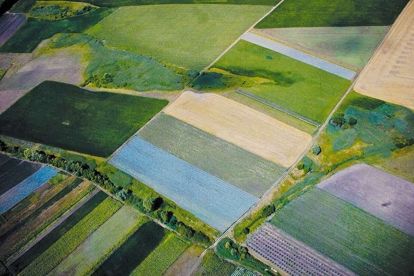 ივლისში უკრაინამ ექსპორტზე 2,66 მილიონი ტონა მარცვლეული გაიტანა