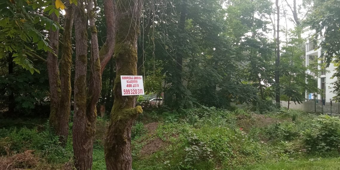 “ა, ,ბატონო, გაჩეხეთ და იყიდეთ 400 კვ.მ.!!!”-რა ხდება შეკვეთილში