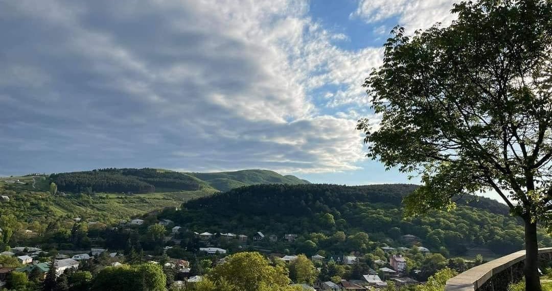 ბაღდათში  მამაკაცმა სიცოცხლე თვითმკვლელობით დაასრულა