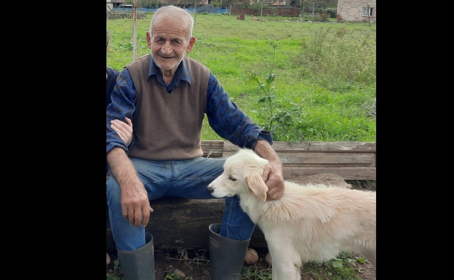 ქუთაისში  86 წლის მამაკაცს ეძებენ