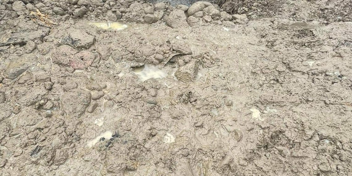 ფულის ჭამა კი გამოგდით კარგად- მიმართვა ოზურგეთის მერიას