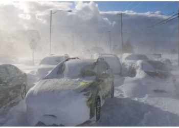 კანადაში და აშშ-ში ყინვას 56 ადამიანი ემსხვერპლა