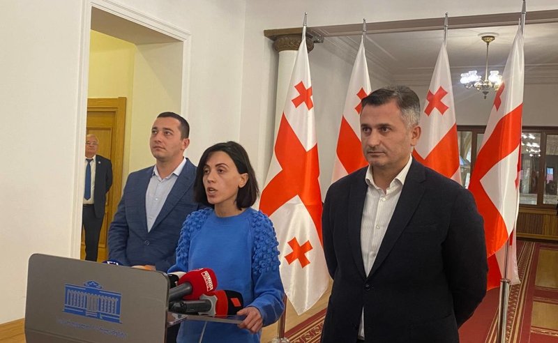 დაე ეს მსხვერპლი ვიყო მე-ანი წითლიძე (დეპუტატებმა შიმშილობა დაიწყეს)