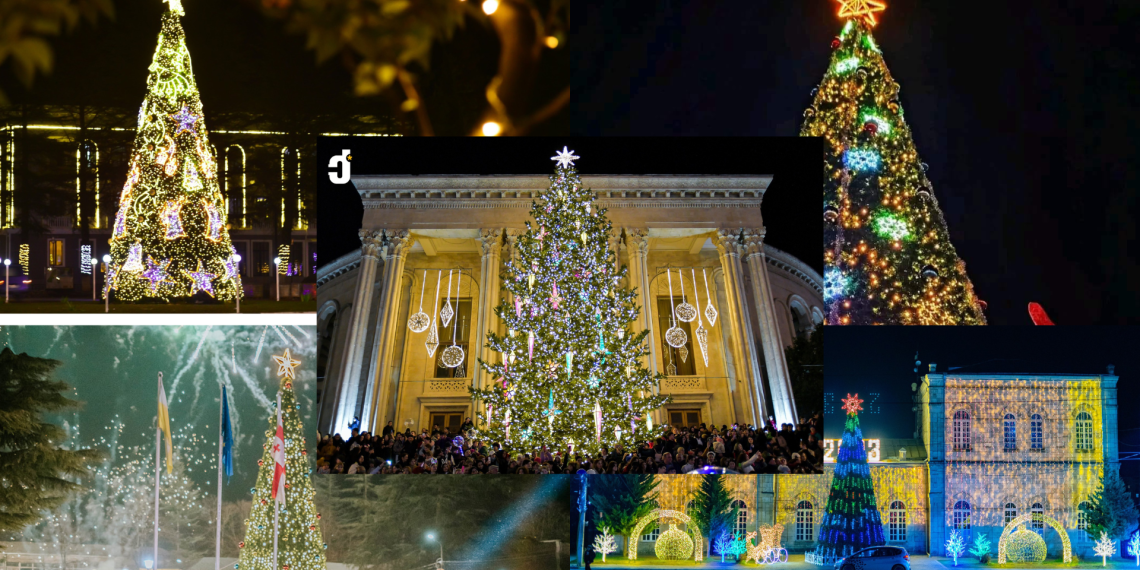 როგორია იმერეთის ნაძვის ხეები (+ფოტო)