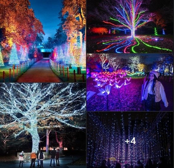 წყალტუბოს მერიაში მსგავს იდეებზე ვინმე მუშაობს?-შეთავაზება წყალტუბოს მერიას