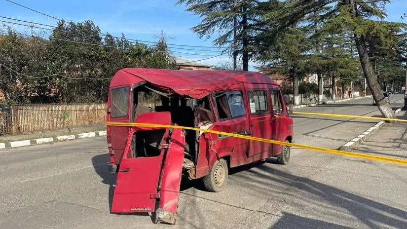 სენაკში სამგზავრო მიკროავტობუსს ხე დაეცა