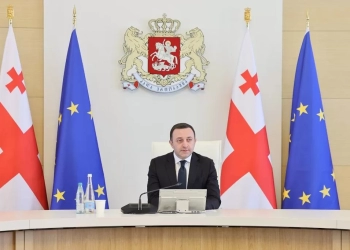 რა საკითხები განიხილეს მთავრობის სხდომაზე