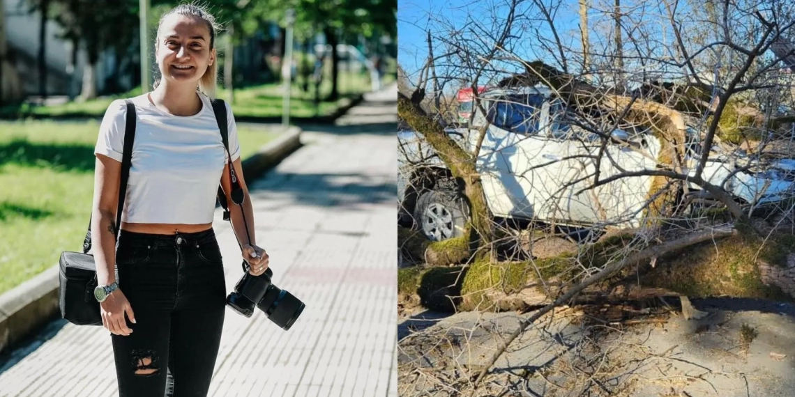 სამსახურეობრივი მოვალეობის შესრულების დროს მოგლეჯილი ხე დაეცა