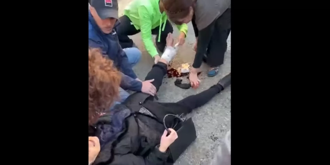 სისხლის გუბე ქონდა ფეხსაცმელში-ზესტაფონში მოხუცებული ძაღლმა დაკბინა