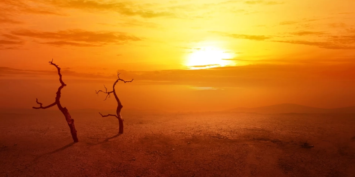 გასული ზაფხული ყველაზე ცხელი იყო დედამიწაზე – რას ვარაუდობენ 2023-ში