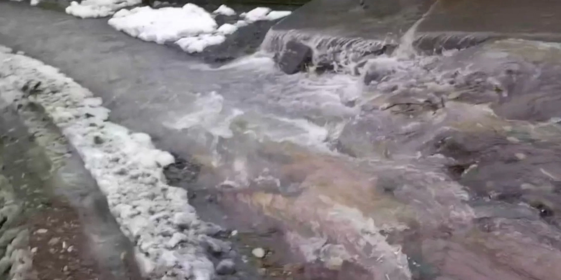 “თქვენ საერთოდ ნამუსი თუ გაქვთ”-მოქალაქე ზესტაფონის მერიას მიმართვს