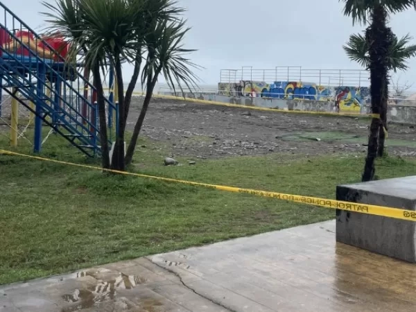 ბათუმის ბულვარში დაშავებული ბავშვის მდგომარეობა მძიმეა