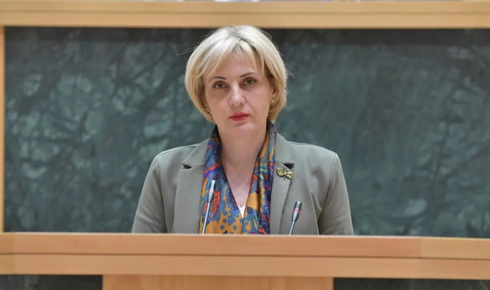 გარკვეულ ენჯეოებს საქართველოში მონური ფსიქოლოგია აქვთ-ეკა სეფაშვილი