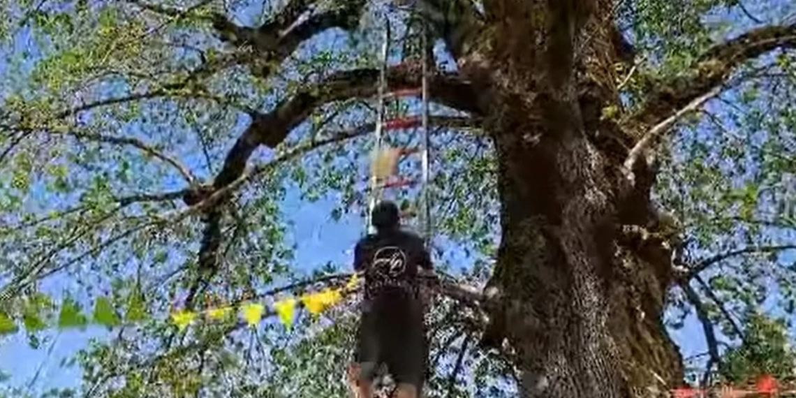 ბურთის კენწვლა კიბეზე-გურული რეკორდსმენის მორიგი მიღწევა