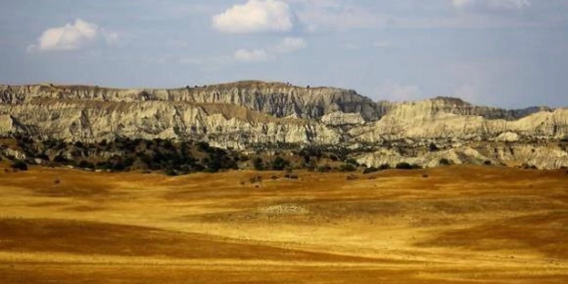 “ხალხო ტყვიამ გაიარა ჩვენს კარვებს შორის”-რა მოხდა ვაშლოვანის ნაკრძალში