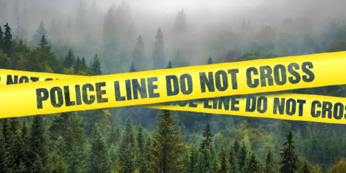 იმერეთში ,,ეროვნული სატყეო სააგენტოს“ თანამშრომელი დააკავეს