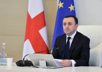 ღვიძლის ტრანსპლანტაციის ხელმისაწვდომობა, ბავშვთა ბენეფიტის გაზრდა და სხვა საკითხები, რომელიც მთავრობის სხდომაზე განიხილეს