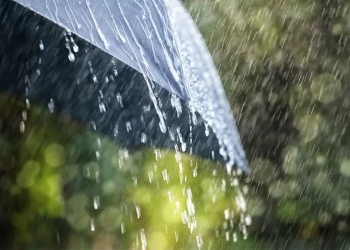 როგორი ამინდი გველის 18 ივნისს