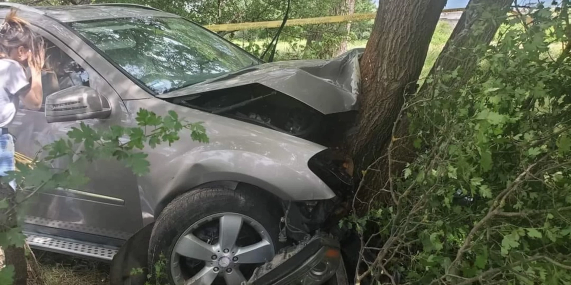 “ერთმა სიძემ მითხრა ჩემთვვის ქორწილი გზასთან ასოცირდება…”