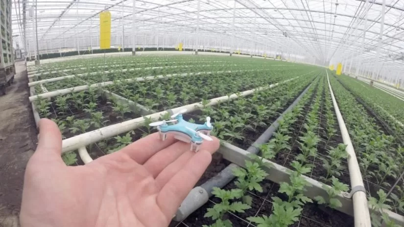 სათბურში მავნე მწერების გასანადგრუებლად დრონები შექმნეს (+ვიდეო)