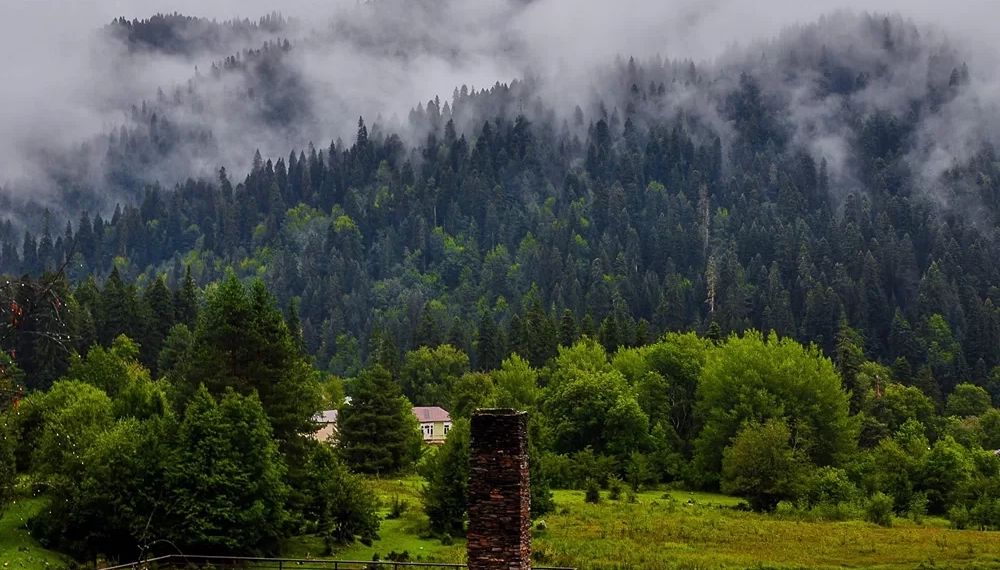 “ხელისუფლებამ ბიზნესმენ დავით ხიდაშელს 49 წლის ვადით, მხოლოდ 11 ლარად გადასცა რაჭა-ლეჩხუმი-ქვემო სვანეთის ტერიტორია”