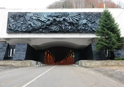 რა შეზღუდვები მოქმედებს რიკოთზე