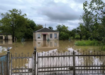 სახლები და სათავსოები დატბორილია, დაიხოცა ფრინველი – იმერეთში სტიქიას ებრძვიან