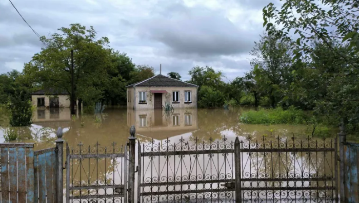 სახლები და სათავსოები დატბორილია, დაიხოცა ფრინველი – იმერეთში სტიქიას ებრძვიან