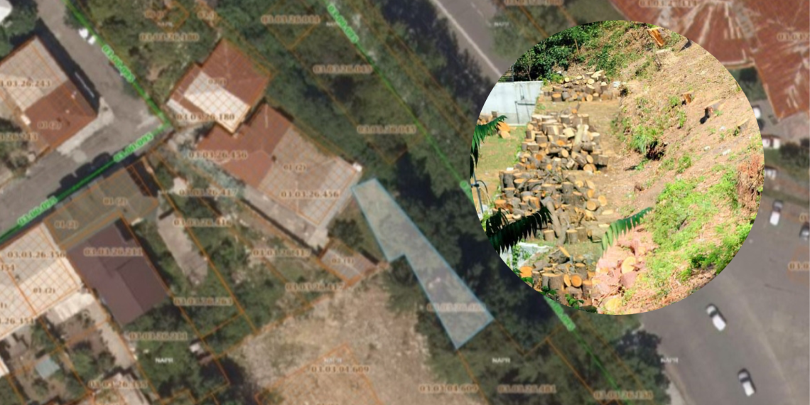 ქუთაისში, მიწის ნაკვეთი, რომელზედაც მწვანე საფარი გაჩეხეს, გაიყიდა