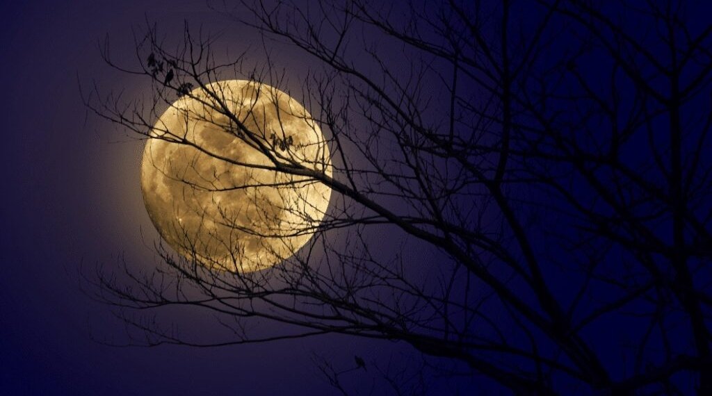 ამ ფენომენის ხილვის შანსი 2032 წლამდე აღარ გექნებათ – რისი ნახვა შეგიძლიათ დღეს