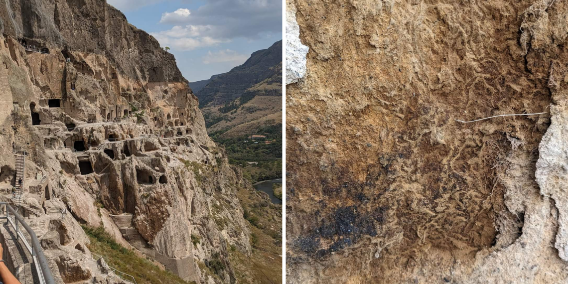 Ავადაა ვარძია და ნელნელა კვდება – რა ხდება ისტორიულ ძეგლზე