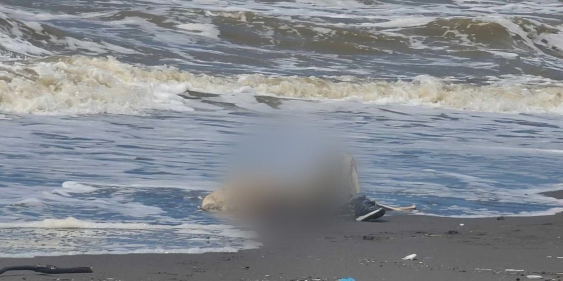 გრიგოლეთთან ზღვამ  ადამიანის გვამი გამორიყა